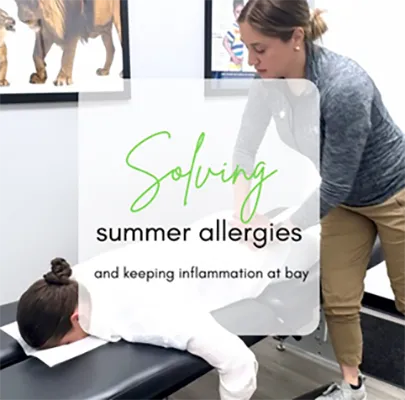 Chiropractic Park Ridge IL Solving Summer Alergies